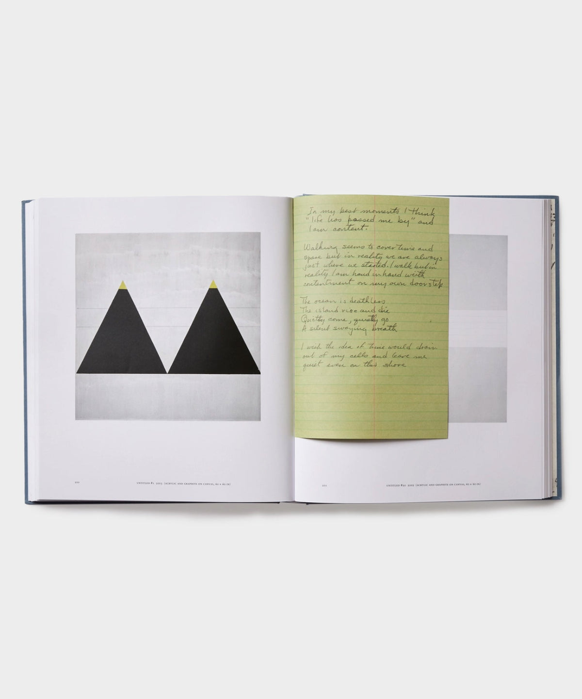 Todd Snyder Phaidon "Agnes Martin" Book - Multi