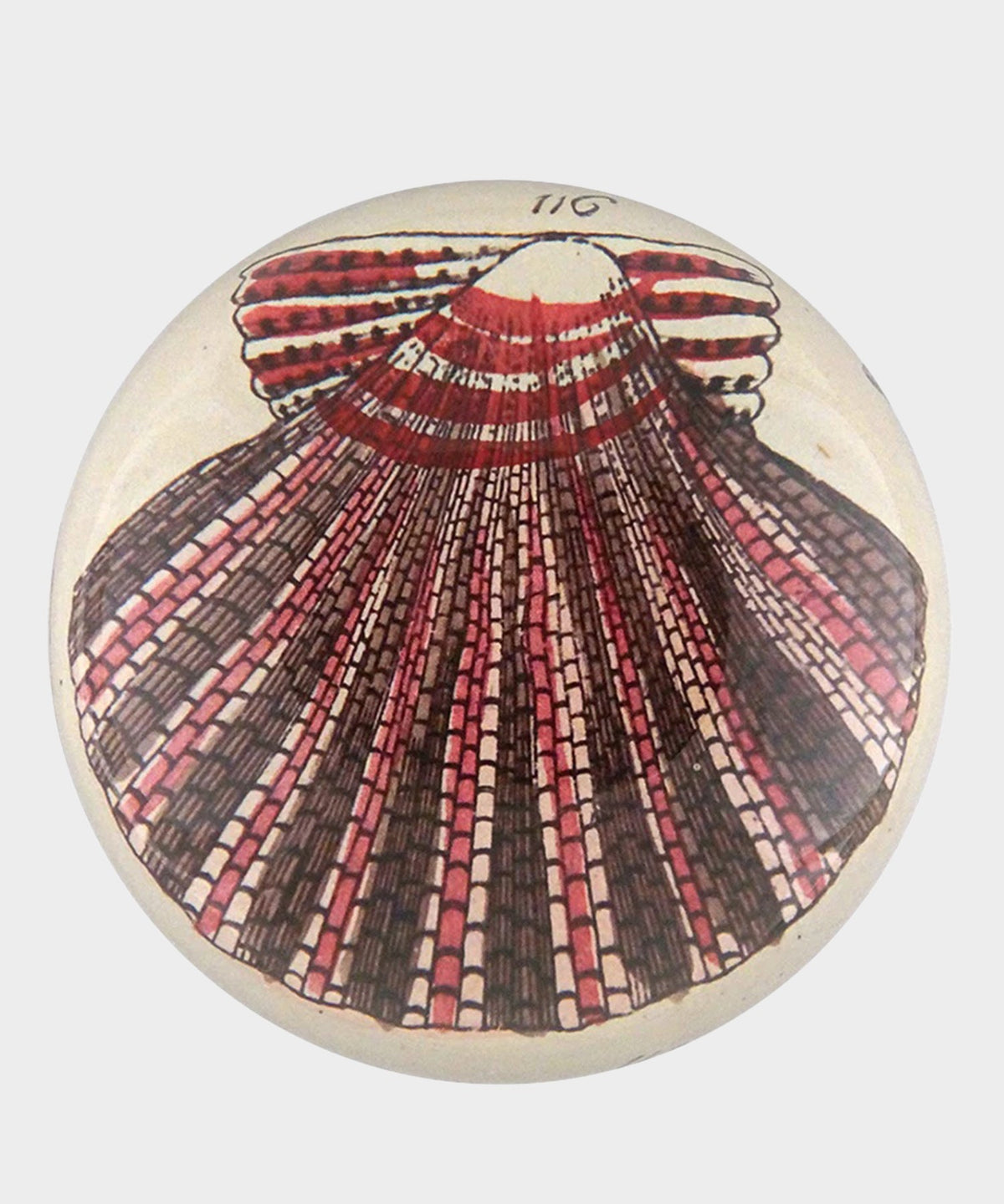Todd Snyder John Derian Scallop 116 Paperweight - Red