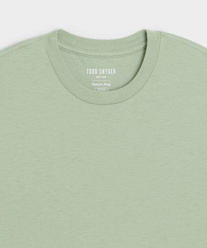 Todd Snyder Premium Jersey Tee - Faded Jade