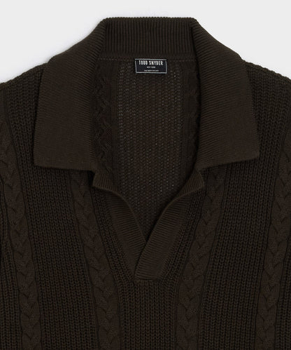 Todd Snyder Beechwood Cable Knit Sweater Polo - Caviar