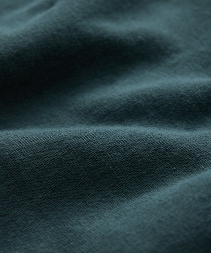 Todd Snyder Champion Henley Sweatshirt - Poseidon