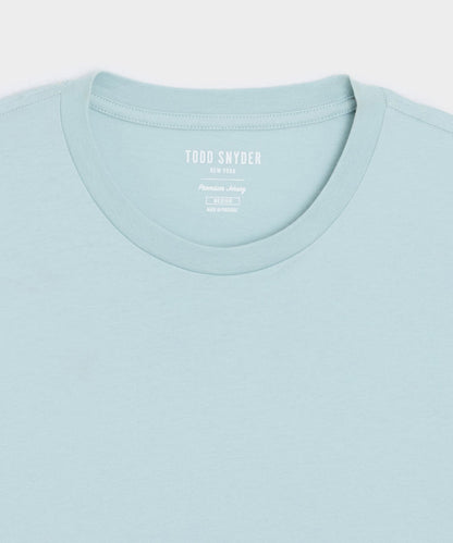 Todd Snyder Premium Jersey Tee - River Mist