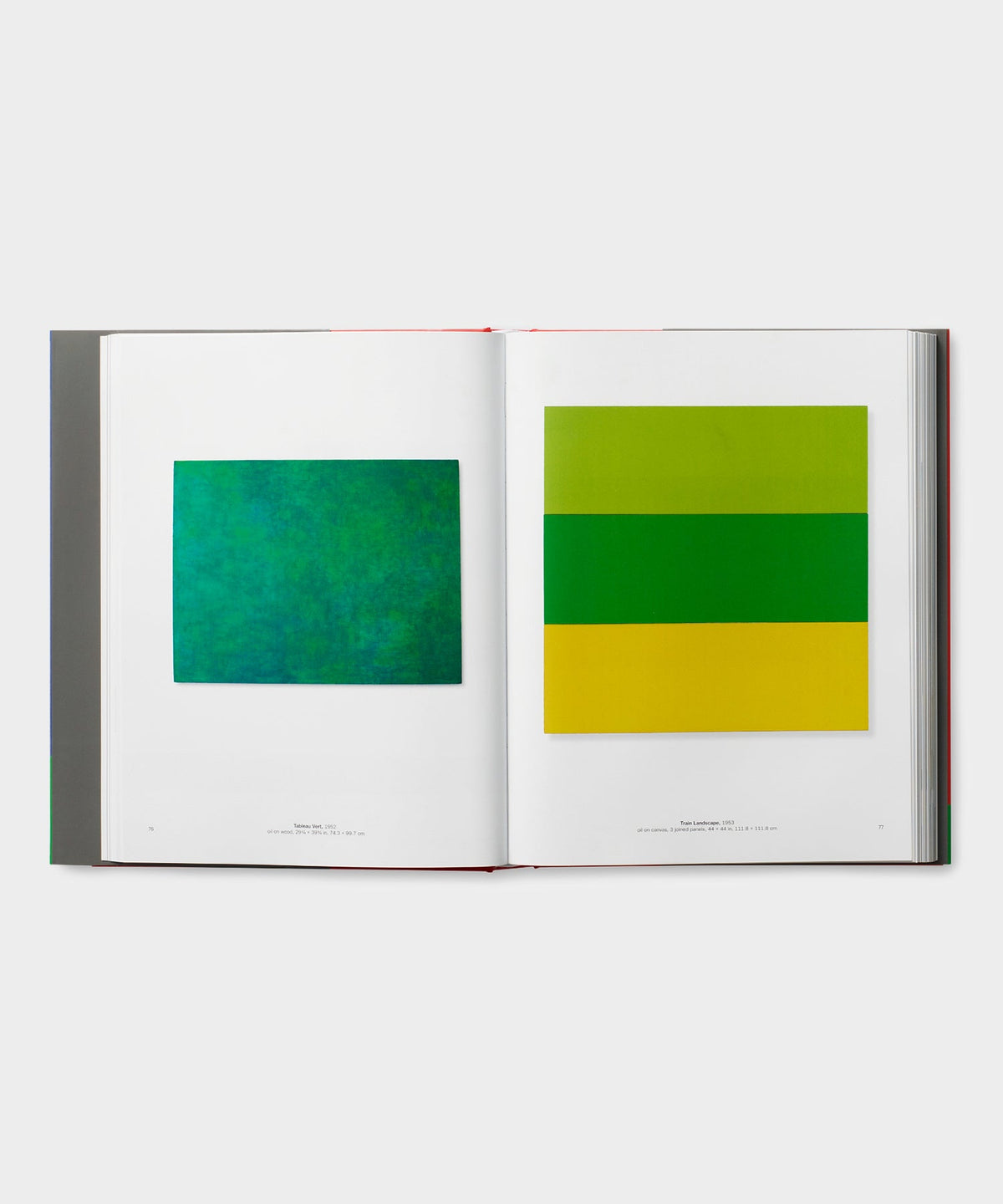 Todd Snyder Phaidon "Ellsworth Kelly" Book - Multi
