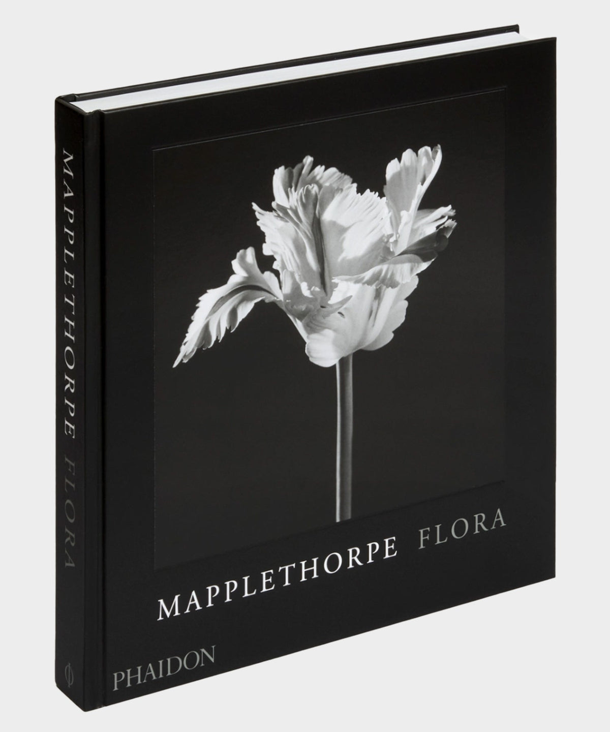 Todd Snyder Phaidon "Mapplethorpe Flora: The Complete Flowers" Book - Multi