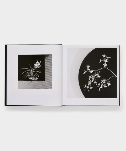 Todd Snyder Phaidon "Mapplethorpe Flora: The Complete Flowers" Book - Multi