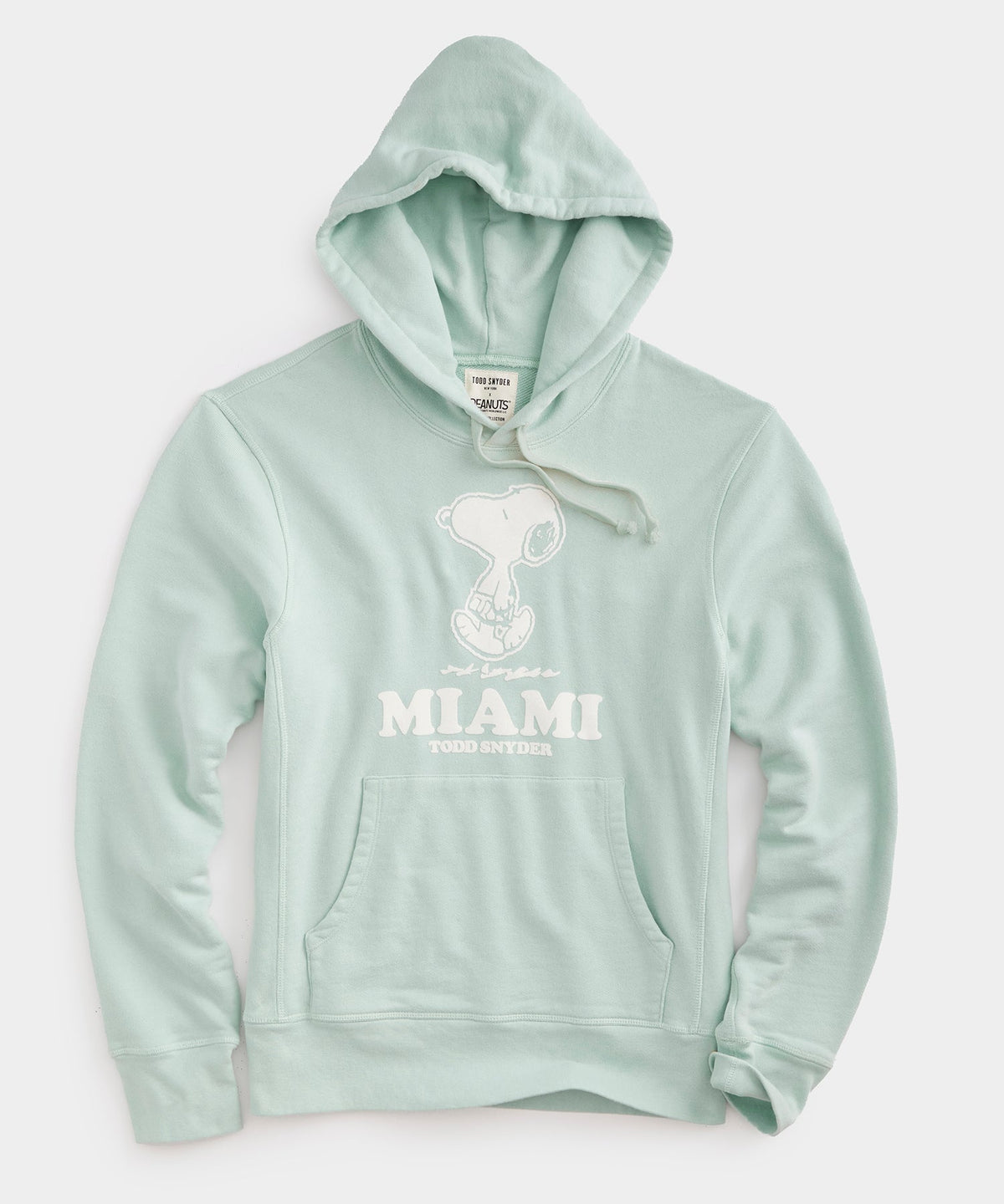 Todd Snyder Todd Snyder x Peanuts French Terry Miami Hoodie - Aqua